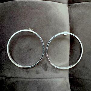 Jenny bird circle earrings. Large size.